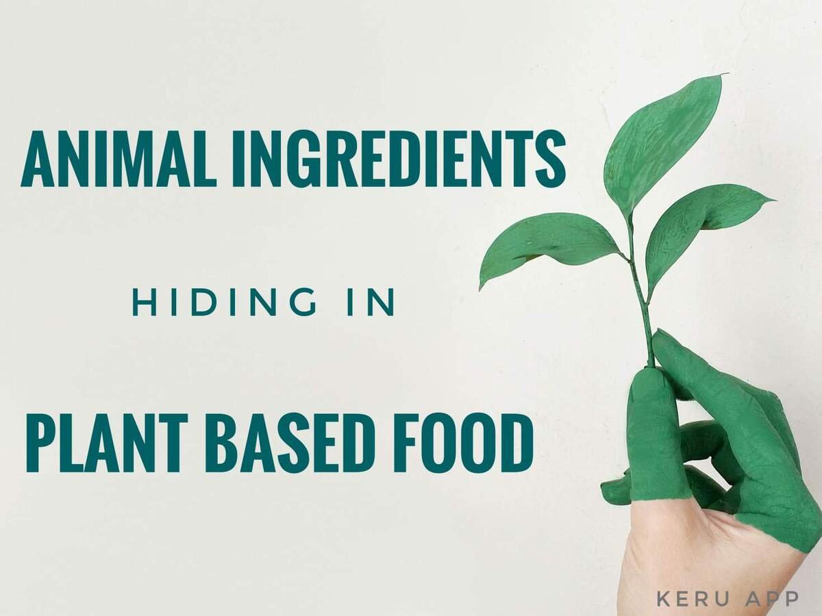 5 Sneaky Animal Ingredients Found in Plant-Based Food
